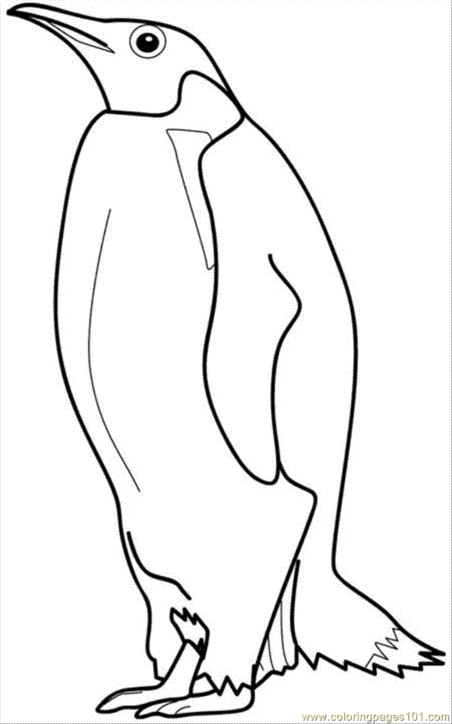 Plansa de colorat cu Pinguin 57 53